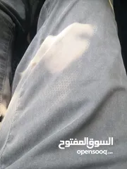  1 مين عندو بناطيل بجامه للبيع