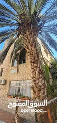  12 عمارة للبيع في الهاشمي شمالي موقع مميز