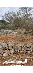  2 ارض للبيع -سلفيت (بروقين )
