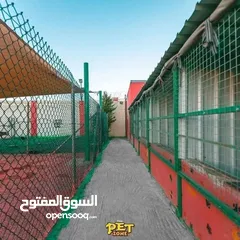  2 درّب كلبك الآن ...اكبر مركز لتدريب الكلاب