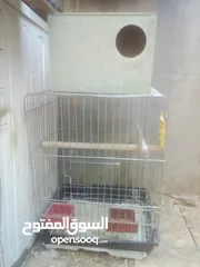  8 كنار وحمام واقفاص بسعر مغري