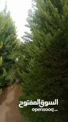  4 فيلا للبيع بسعر مغري