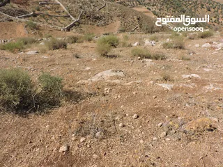  7 أجمل اطلالات جلعد-قوشان مستقل
