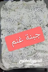  1 جبنه غنم بلديه 100%