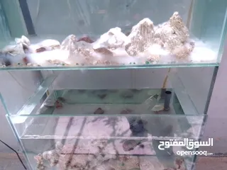  2 حوض سمك تفصيل ثلاث طوابق منضر شلال ارتفاع متر وتسعين  عرض متر جديد