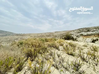  1 ارض 8 دونم للبيع بين بزاريا وبلعا طابو نابلس