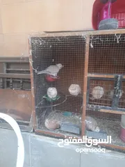  3 حمام ياكريم للبيع