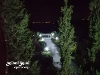  6 مزرعة مميزة ناعور المشقر