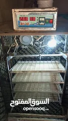  6 فقاسه فل اتوماتيك للبيع 352بيضه