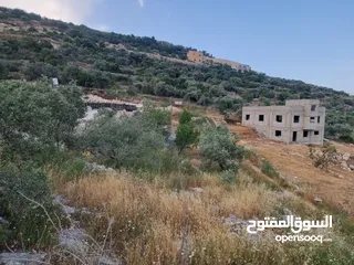  6 رامي ابو عماد