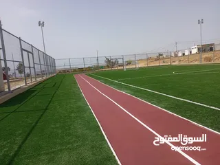  1 عشب صناعي  وحبيبات مط