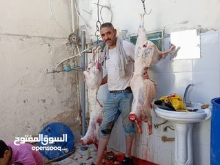  4 الحواري لذبح الاضياحي والعقائق في المنزل ذبح وسلخ وتقطيع بسعر مناسب للجميع
