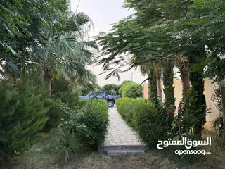  30 مزرعة نخيل مجهول مثمر ومنتج  + شاليه مودرن للبيع بأجمل مناطق الغور بالقرب من سد الكرامة 60 ك من عمان
