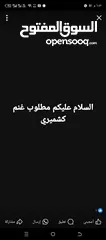  1 السلام عليكم مطلوب غنم كشميري