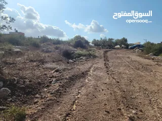  8 حصة بمنطقة الحرايق