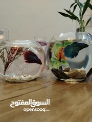  5 "جديد روح تنسيق أنيق لحوض الفايتر مع ناعورة وأحجار زينة طبيعية"