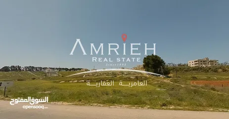  1 ارض للبيع في ناعور ( البويضه ) / بالقرب من قصر الكويتي .