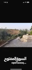  6 مزرعه للبيع بسعر مغري جدا