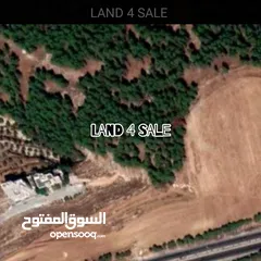  2 أرض رائعة للبيع قصر السعودي سابقا. العويلية. مقابل بلعاس   ناعور الجديدة 761م