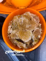  3 عسل سدر مقصوص من جبل