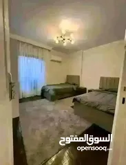  4 شقه متشطبه فى هايد بارك دقائق من الجامعه الامريكيه للبيع