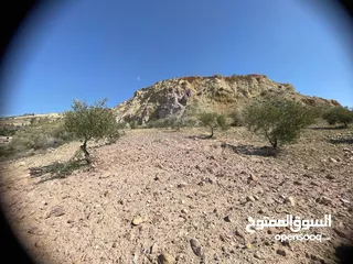  12 ارض للبيع / الصبيحي 18 دونم تقع على شارع رئيسي ‏بإطلالة مميزة وجميلة ويوجد بجانبها مطعم