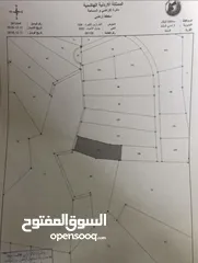  10 ارض مزروعة في مغاريب السلط