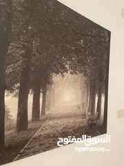  1 برواز لعبة الظل والضوء