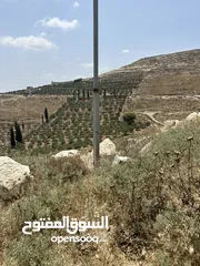  10 دونم للبيع بسعر مغري في بيت امرين قريب جدا من الخدمات و البناء