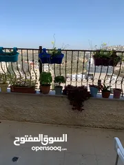  12 عصام عصفور