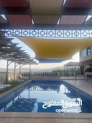  26 مزرعة ابو احمد البلوطي
