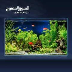  11 we will make custom fish tank for you