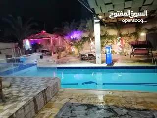  7 شاليه للايجار في البحر الميت منطقة الروضه
