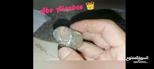  5 حجر اوبال نوع قوس قزح النادر حجر الاوبال الكريم فاير قوي جدا متعدد الألوان فاير احمر الأكثر ندرة