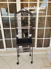  2 Birds Cage for sale