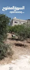  10 بيوت للبيع