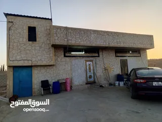  1 معمل اجبان أو مخللات