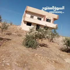  1 بيت مع مزرعه بمنطقه مميز للبيع