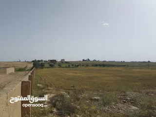  28 ارض للبيع أراضي جنوب عمان ارينبه الغربيه قطع اراضي زراعية مميزة 