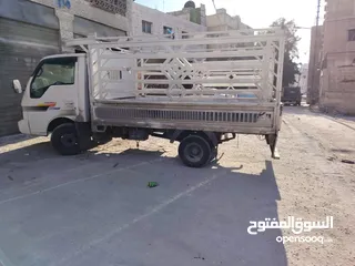  5 بك كيا بنجو
