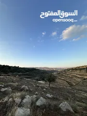  5 قطعة ارض بالعالوك مساحة 3 دونم و 400 متر