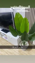  19 شجر زينه جديد للبيع اشكال واحجام مختلفه تصل لطول 2متر وتبدا اسعار من 5دينار ويوجد توصيل
