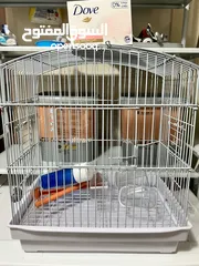  1 Cage birds or Rabbit