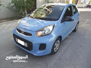  8 Kia Picanto HB 1.2 L Blue 2017 Single User Well Maintained Urgent Sale
