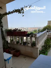  3 شقة فاخرة للبيع بسعر مغري ورمزي