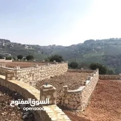  10 ابو عناد استصلاح الأراضي زراعيه بناء سناسل حجريه سلاسل حجريه