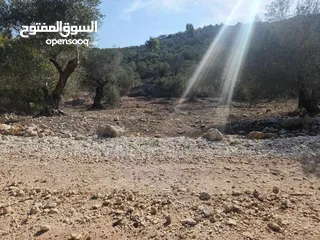  5 حصة 470م منطقة المنتزة