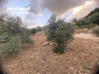  11 للبيع: أرض بإطلالة خلابة وموقع هادئ في دابوق من المالك مباشرة فيها منسوب