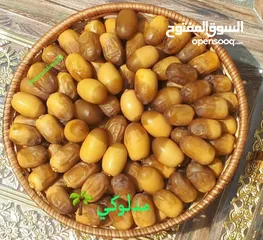  9 فسائل متنوعه للبيع