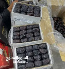  2 النخيل والتمور Mazafati Dates رطب مضافتی